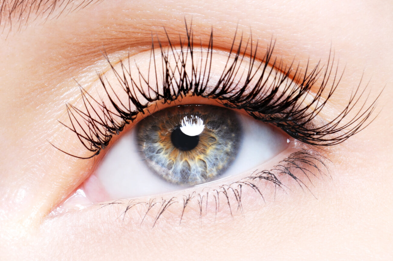 Joseph Banks modul Antage Hvordan påfører og fjerner man falske øjenvipper?